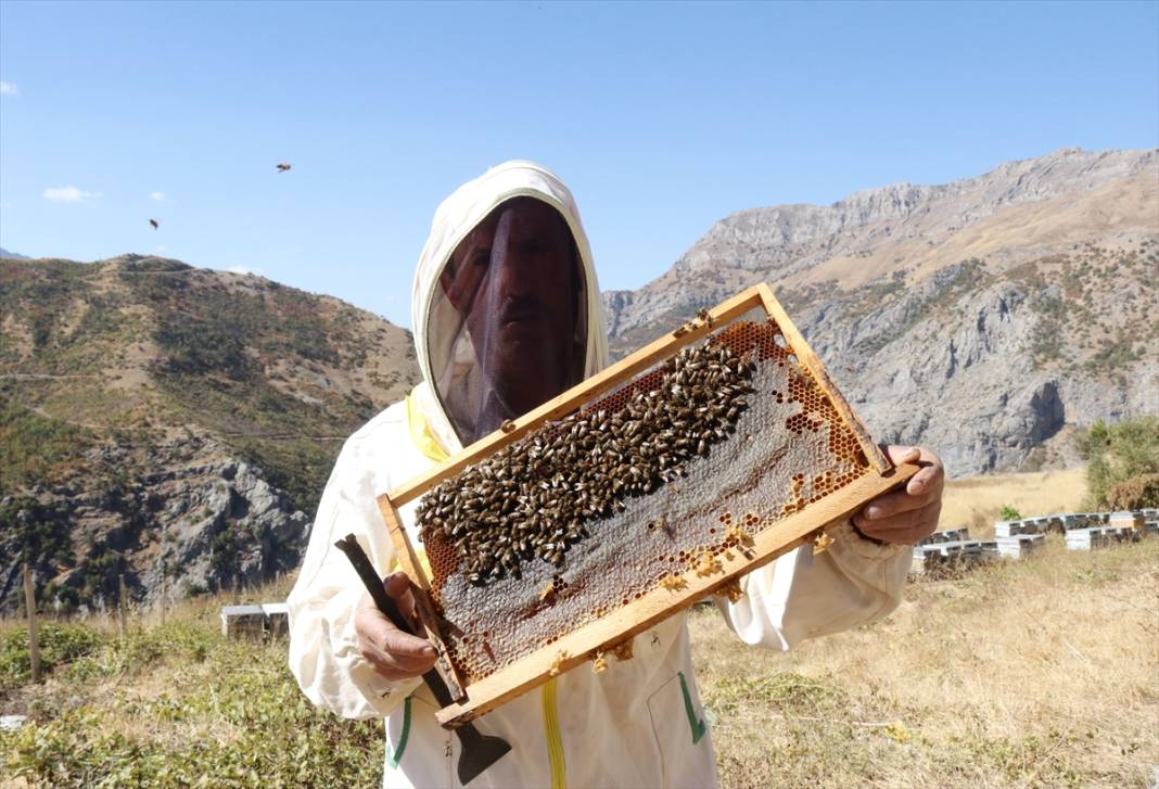 Terörün susturduğu köy, arılarla tekrar hayat buldu 6